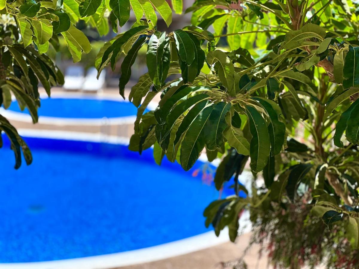 Appartamento With Garden Vista Roja